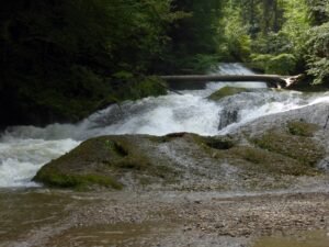 Wasserfall der Oberen Argen über Nagelfluh-Stufen im Eistobel, umgeben von Wald
