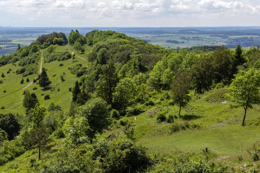 Grüne Hänge des Hesselbergs mit Magerrasen, Wacholder und Bäumen, dahinter weites Land
