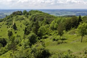 Grüne Hänge des Hesselbergs mit Magerrasen, Wacholder und Bäumen, dahinter weites Land