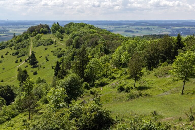 Grüne Hänge des Hesselbergs mit Magerrasen, Wacholder und Bäumen, dahinter weites Land