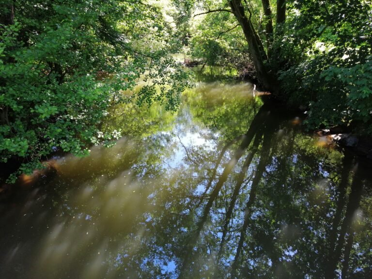 Die Sinn im Naturschutzgebiet Sinngrund bei Rieneck