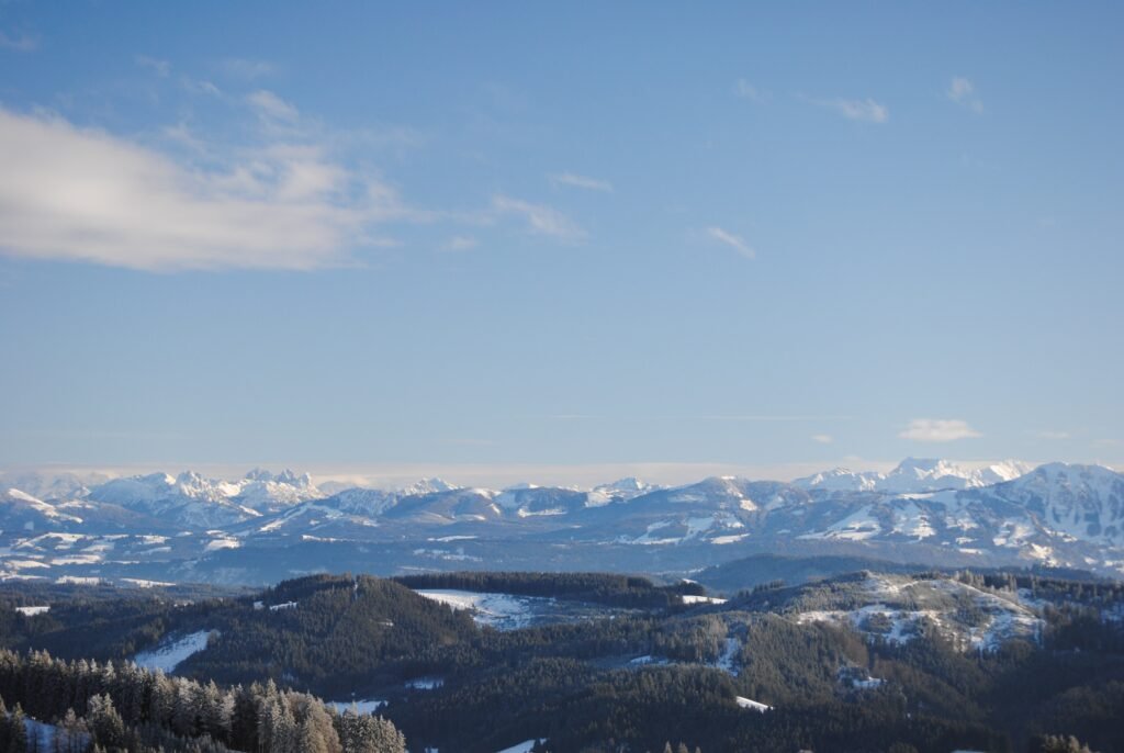 Blick vom Schwarzen Grat über bewaldete Hügel auf die schneebedeckten Allgäuer Alpen