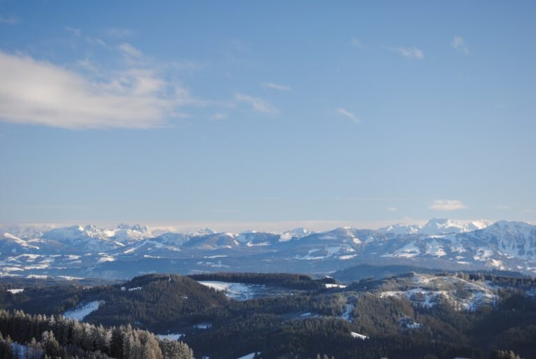Blick vom Schwarzen Grat über bewaldete Hügel auf die schneebedeckten Allgäuer Alpen