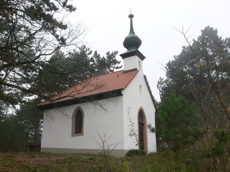 Weiße Wallfahrtskapelle Maria Hilf mit Zwiebelturm zwischen Kiefern auf dem Volkenberg bei Erlabrunn