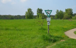 Offene Wiesen- und Heidefläche der Waldheide in Heilbronn mit Naturdenkmal-Schild und Spazierweg